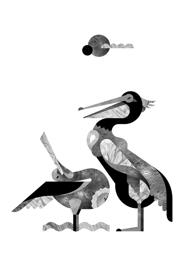 Janine Rewell