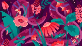 Janine Rewell