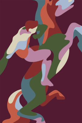 illustration of a man on horse